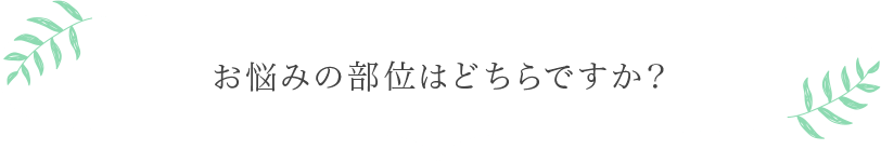 お悩みの部位はどちらですか？